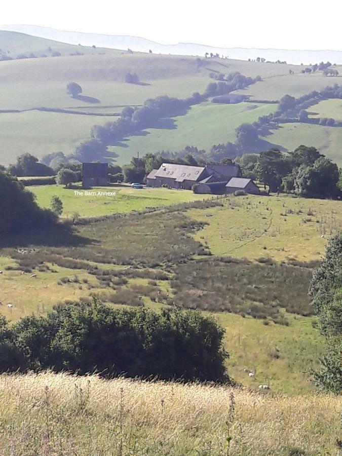 The Barn Annexe, Cefn-Yr-Allt Crickadarn Zewnętrze zdjęcie